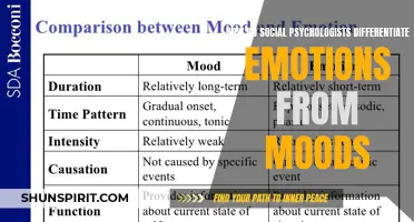 Understanding the Distinction: How Social Psychologists Differentiate Emotions from Moods