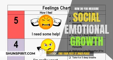 Measuring Social Emotional Growth: A Comprehensive Guide