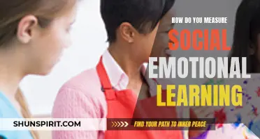 Measuring Social Emotional Learning: A Comprehensive Guide