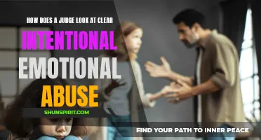Understanding How a Judge Analyzes Clear Intentional Emotional Abuse