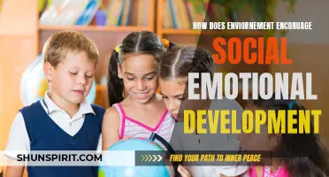 The Impact of Environmental Factors on Social-Emotional Development
