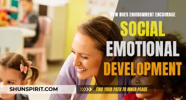 The Impact of the Environment on Social-Emotional Development