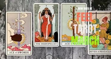 Understanding the Empress: How Does She Feel in Tarot Readings?