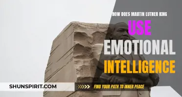 The Impact of Emotional Intelligence in Martin Luther King's Approach to Advocacy