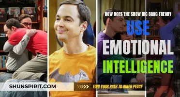 Exploring How The Show Big Bang Theory Utilizes Emotional Intelligence
