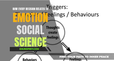 Understanding the Link Between Decisions and Emotions: The Role of Social Science
