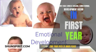 The Rapid Progress of Social Emotional Development in the First Year
