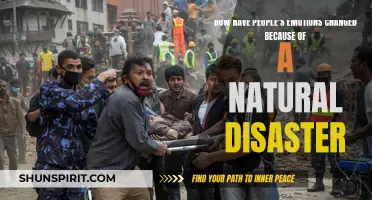 Understanding the Emotional Impact of Natural Disasters: Exploring the Shift in People's Emotions