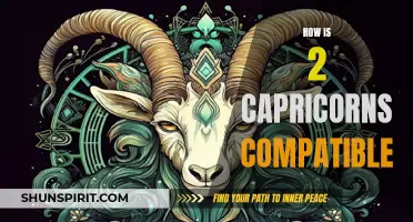 Understanding the Compatibility Between Two Capricorns