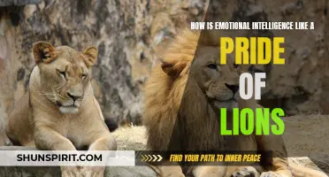 The Power and Unity of Emotional Intelligence: A Pride of Lions
