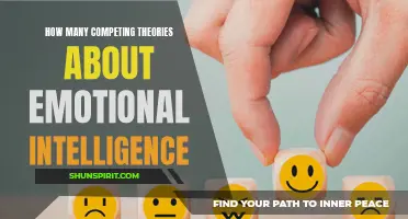 Exploring the Myriad of Competing Theories about Emotional Intelligence