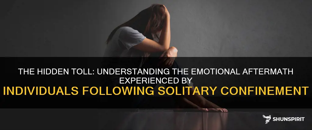 how many people have emotional problems after being in solitary