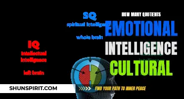 Exploring the Connection between Emotional Intelligence and Cultural Quotients