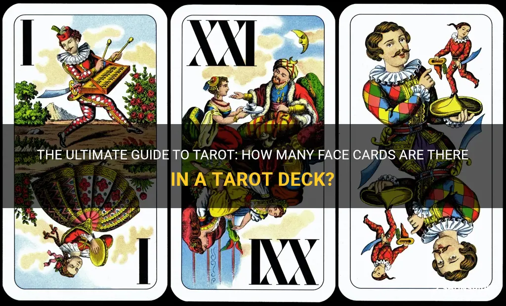 The Ultimate Guide To Tarot: How Many Face Cards Are There In A Tarot ...