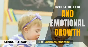 Understanding the Social and Emotional Growth of Toddlers