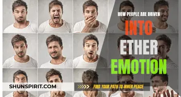 The Astonishing Ways People Are Driven into Different Emotions