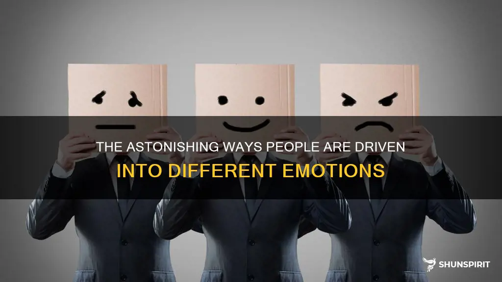 how people are driven into ether emotion