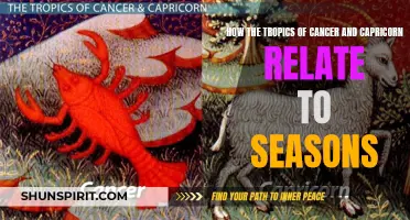 Exploring the Relationship Between the Tropics of Cancer and Capricorn and the Changing Seasons