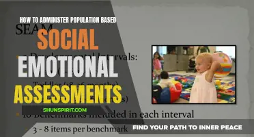 Effective Strategies for Administering Population-Based Social Emotional Assessments