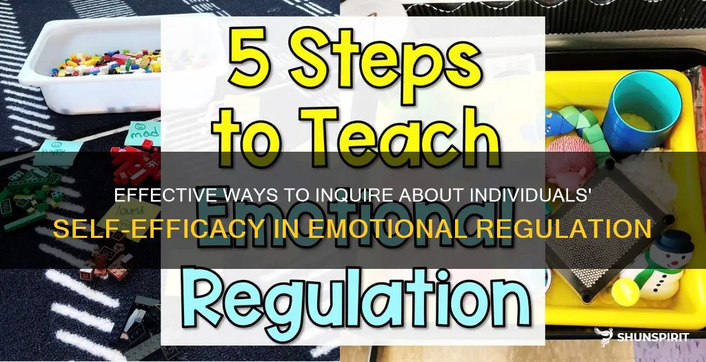 how to ask abotu peoples self efficacy around emotional regulation
