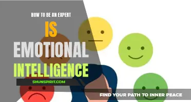 Master the Art of Emotional Intelligence: Tips on Becoming an Expert