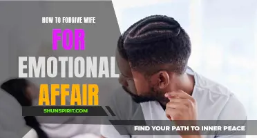 Emotional Affair: How to Forgive Your Wife and Heal the Relationship