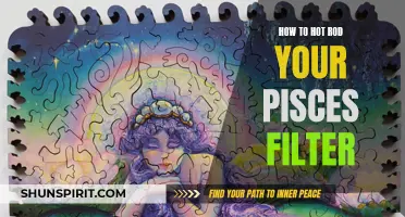 Revving Up Your Pisces Filter: Unleash the Power of Customization with These Hot Rodding Tips
