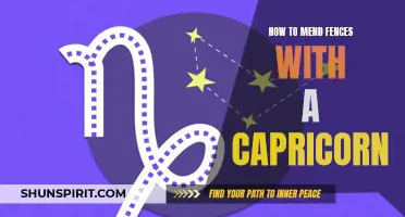 10 Tips for Mending Fences with a Capricorn