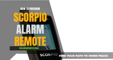 Mastering the Programming of a Scorpio Alarm Remote