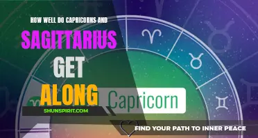 Finding Harmony: How Well Do Capricorns and Sagittarius Get Along?