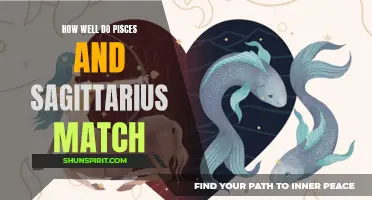 The Compatibility Between Pisces and Sagittarius: A Harmonious Match
