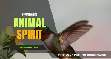 Unleashing the Power of Hummingbird Animal Spirit: Lessons to Learn