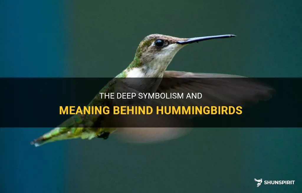 hummingbird symbolism meaning