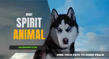 The Mystical Power of the Husky Spirit Animal