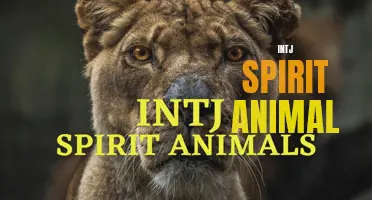 The Wise Owl: The INTJ's Perfect Spirit Animal