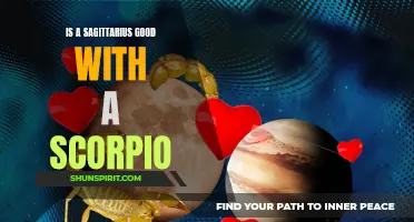 Exploring the Compatibility: Is a Sagittarius a Good Match for a Scorpio?