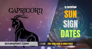 Exploring the Dates and Traits of the Capricorn Sun Sign