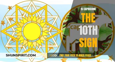 Exploring the Influence and Significance of Capricorn as the 10th Zodiac Sign