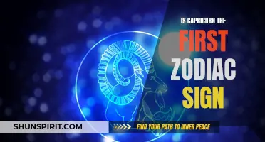 Exploring the Order of the Zodiac: Capricorn as the First Sign in Astrology