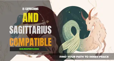 Exploring the Compatibility between Capricorns and Sagittarius: Are They a Perfect Match?