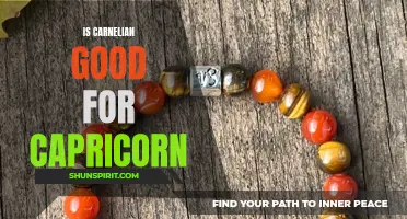 The Benefits of Using Carnelian for Capricorn Zodiac Sign