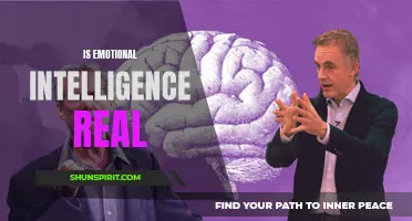 The Importance of Emotional Intelligence in Personal and Professional Success