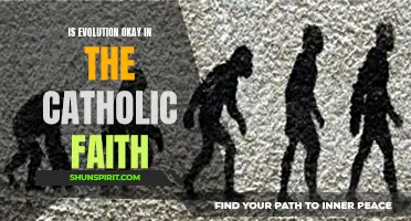 Exploring the Intersection of Evolution and Catholic Faith: Is It Compatible?