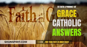 The Relationship Between Faith and Grace: Insights from Catholic Answers