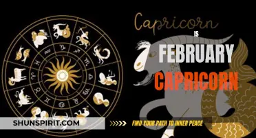 The Significance of February Born Capricorns in Astrology