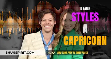 Unveiling Harry Styles' Zodiac Sign: Is the Singer a Capricorn?