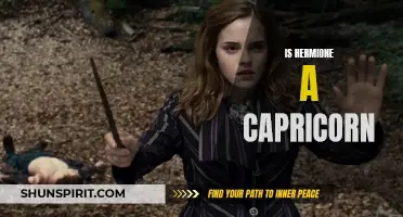 Is Hermione Granger a Capricorn: Exploring the Astrological Sign of Harry Potter's Favorite Witch
