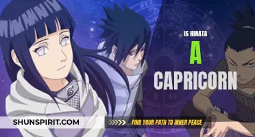 Unraveling the Zodiac: Delving into Hinata's Astrological Sign
