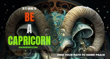 The Pros and Cons of Being a Capricorn: Is It Good to Be a Capricorn?