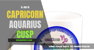 The Dynamic Persona: Exploring the Traits of the Capricorn-Aquarius Cusp Born on January 18